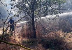 Tekirdağ'da anız yangını ormana ulaşmadan söndürüldü