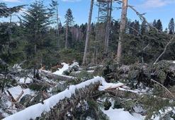 Prof. Dr. Durkaya: Batı Karadeniz’de çok alışık olmadığımız hortum olayları görülmeye başlandı
