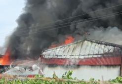 İznik’te soğuk hava deposunda yangın
