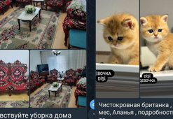 Yabancılar, elektronik sigaradan evcil hayvana kadar pek çok ürünü internetten satışa çıkardı