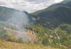Bartın'da tarladaki anız ateşi ormana sıçradı