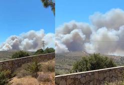 Çeşme'de orman yangını; 3 kişi hayatını kaybetti