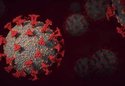 'Covid-19'un yeni varyantları Türkiye'de varsa da bilmiyoruz'