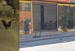 Ankara'da 1 kişinin yaralandığı kavga sonrası mahallede, polis nöbet tutuyor