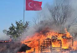 Edirne'de anız yangını ağıla sıçradı