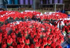 Kesme çiçekte 150 milyon dolarlık hedefin yarıdan fazlası 6 ayda gerçekleşti