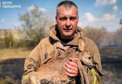 Ukrayna’da 24 saatte 343 orman ve çalı yangını çıktı