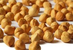 Ulusal Fındık Konseyi, 2024 yılı fındık rekoltesini açıkladı