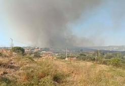 Foça'da orman yangını
