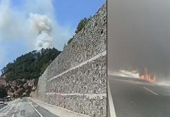 Balıkesir'de çıkan orman yangını kontrol altında