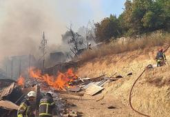 İzmit'te ahır yangını; 13 hayvan öldü