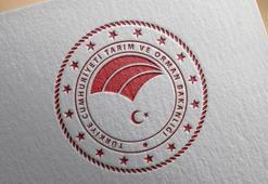 119 milyon TL tarımsal destekleme ödemesi çiftçilerin hesabına yatırıldı