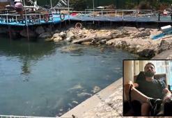 Avcılar'daki cinayet: Şüpheliler adliyeye sevk edildi