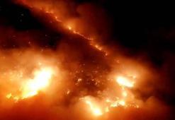 Elazığ’da orman yakınında örtü yangını