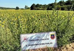 16 ildeki 'Narkoçelik-28' operasyonlarında, 40 şüpheli tutuklandı