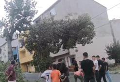 Avcılar'da bir bölümü kesilen ağaç, elektrik hattı üzerinde asılı kaldı