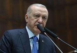 Erdoğan: Cumhur İttifakı olarak sokak hayvanları teklifini Meclis tatile girmeden yasalaştıracağız
