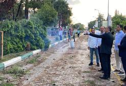 Osmaniye’de şiddetli fırtına çatıları uçurdu, ağaçları kökünden söktü