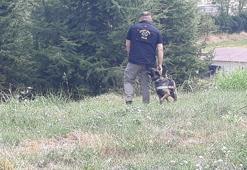 Kayıp kadını arama çalışmalarında kadavra köpeği Zeyna koku aldı; ceset bulundu