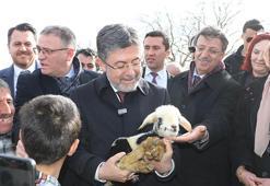 Hayvancılıkta yeni destekleme modeli yürürlüğe girdi