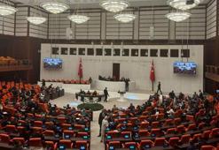 Sahipsiz sokak hayvanları düzenlemesi, TBMM Genel Kurulu'nda