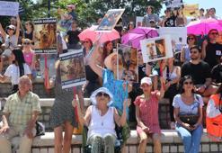 Hayvanseverlerden sahipsiz sokak hayvanları düzenlemesine tepki