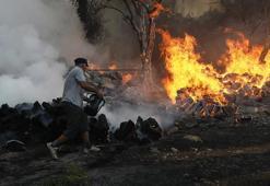 Antalya'daki orman yangınında 65 hektar kül oldu