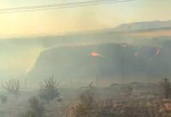 Mardin'de saman yangınında 25 dönümlük fıstık bahçesi zarar gördü