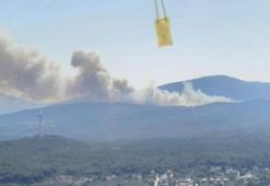 Urla'da orman yangını