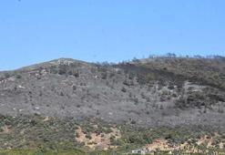 Urla'daki orman yangını 18,5 saat sonra kontrol altında