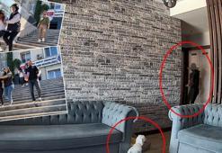 Bahçeşehir'de eve hırsız girdi; şüphelileri izleyen köpek gülümsetti