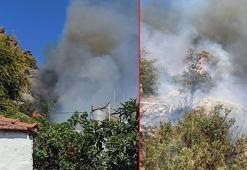 Bodrum'da makilik yangını kontrol altında