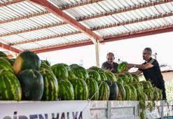 Denizli'de ürünü elinde kalan karpuz üreticisine destek