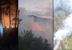 Evde çıkan yangın, ormana sıçradı; 35 dekar alan zarar gördü