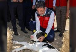 IPARD III Programı için 3'üncü başvuru çağrı ilanı yayımlandı