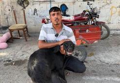 Kamyonete bağlanan köpeği sürüklemişti: Aracın içine bağlamışlar, haberim yoktu