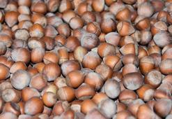2024-2025 sezonu kabuklu fındık alım fiyatları belirlendi