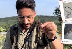 'Örümcek, yılan, akrep çok zehirli' haberlerine, 'Asıl bu haberler zehirli' tepkisi