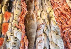'Türkiye'de dünya standartlarında balık üretiliyor'