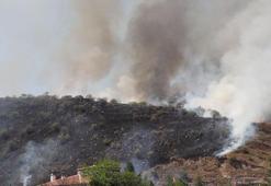 Kayseri'de dağlık arazide yangın