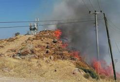 Bodrum'da otluk ve makilik yangını