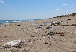 2 kilometrelik kumsal çöple kaplandı