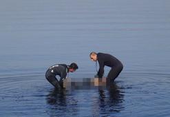 Kocaeli'de denizde ceset bulundu