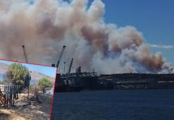 Balıkesir'de çamlıkta yangın