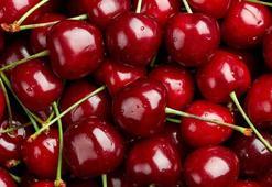 Kiraz ihracatı 209 milyon dolara ulaştı