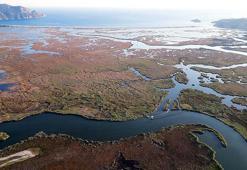 Dalyan Kanalı'nın labirent görünümlü sazlıkları