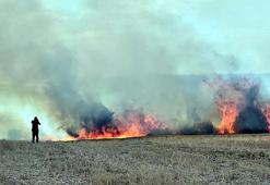 Edirne’de merada başlayan yangında 10 bin dönüm tarım alanı zarar gördü
