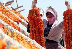 Kurutmalık sezonunda Gaziantep'in yükseklerinde renk cümbüşü
