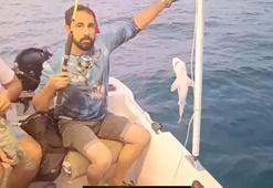 Oltasına yavru köpek balığı takıldı