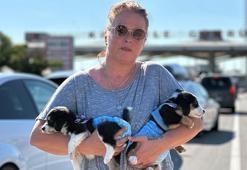 Edirne'de barınaktan sahiplendiği 'Çiko' ve 'Çilek'i yaşadığı Almanya'ya götürdü